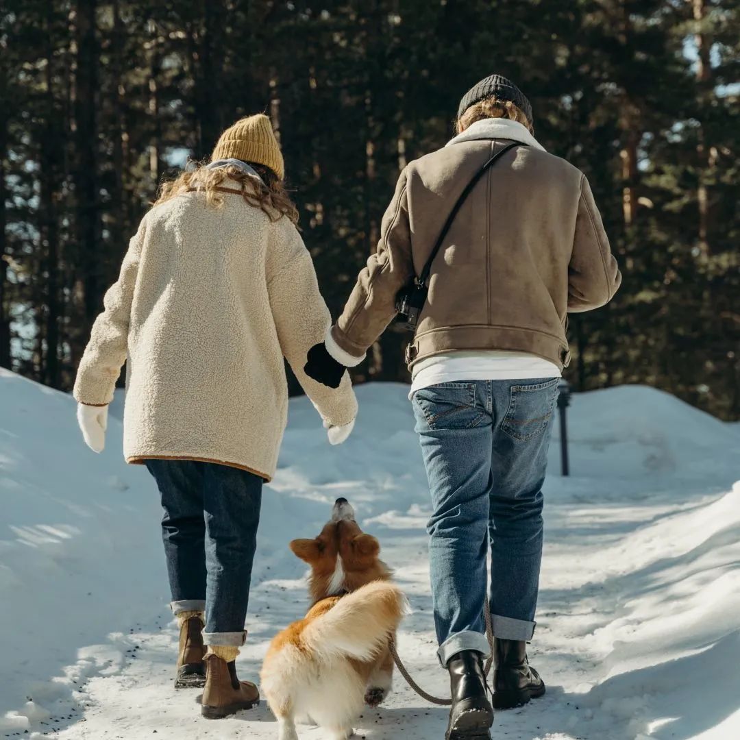 爱情中精神和物质哪个更重要?
